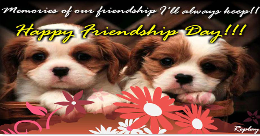 Contest for Friendship Day ecards