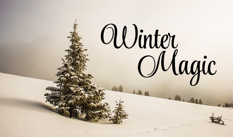 Winter Magic