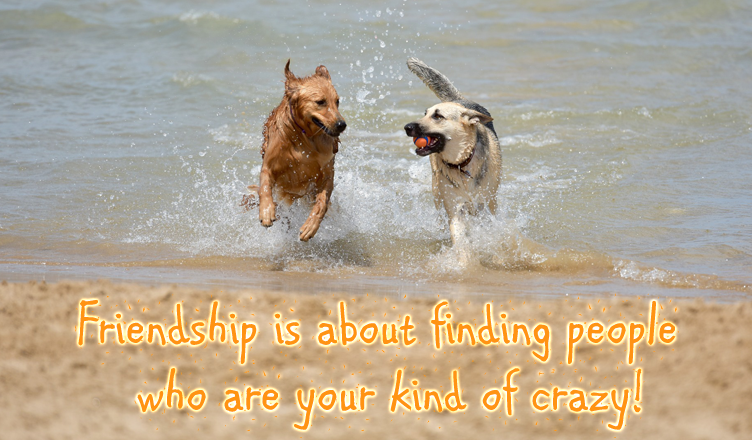 Happy Friendship Day