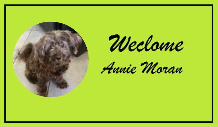Welcome Annie Moran!