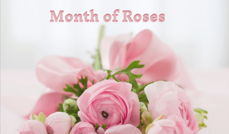 Celebrate The Beauty Of Roses This National Rose Month