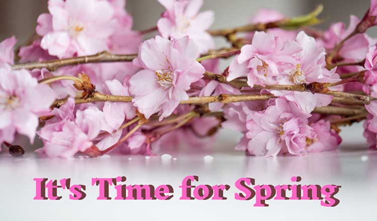 March- It’s Time For Spring